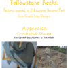 Yellowstone Rocks Kit