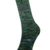 Laines du Nord Paint Gradient Sock - Image 5